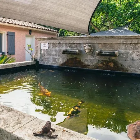 Charmante Au Plan-de-la-tour Avec Piscine Privee Vila Sainte-Maxime
